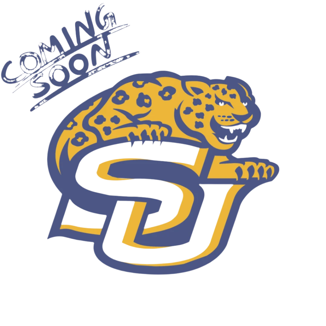 Southern University